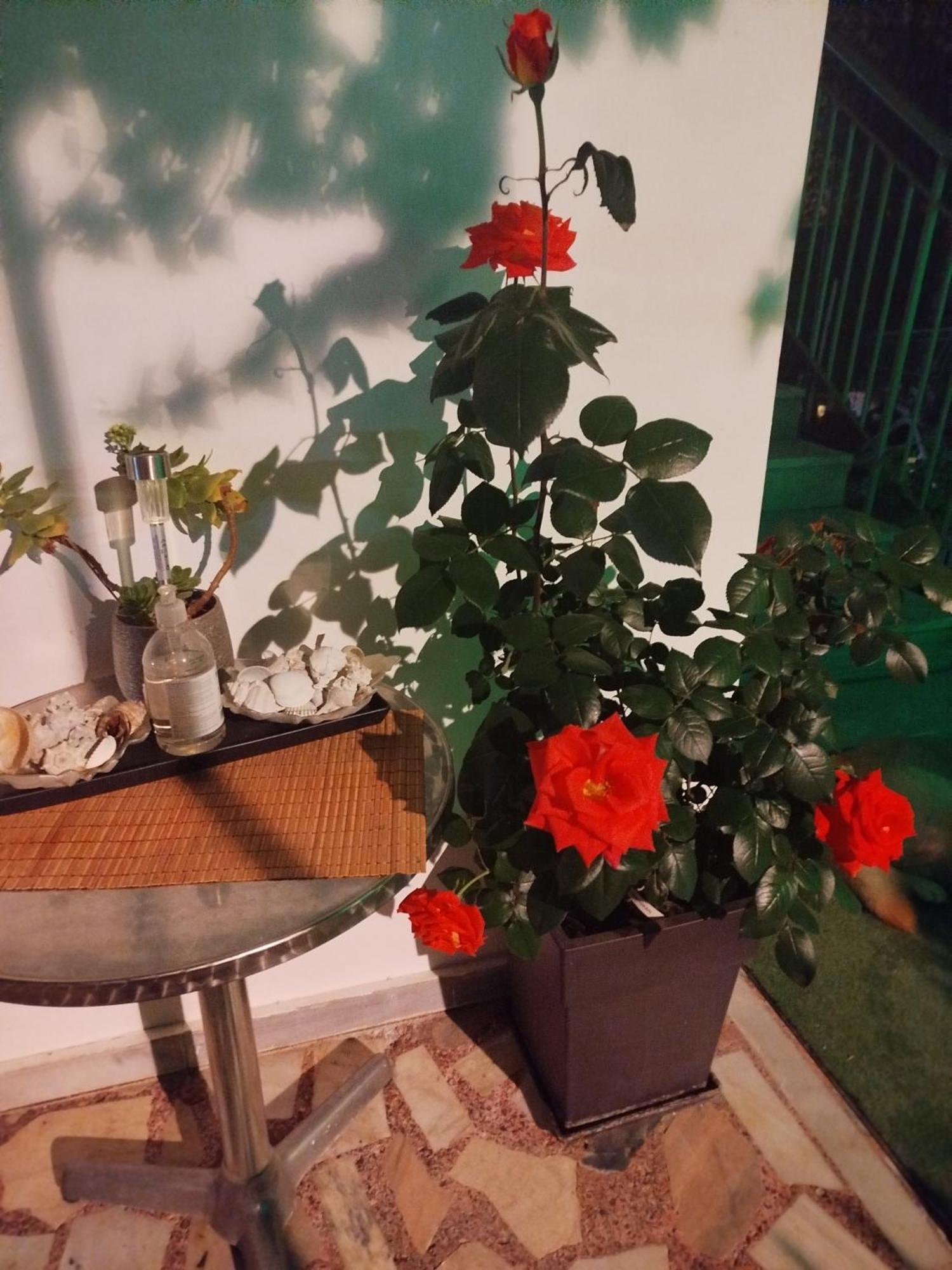 Alenstudios Paralía Exteriör bild
